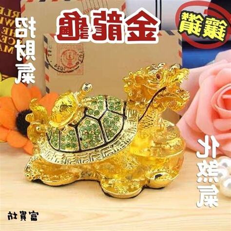 龜 風水